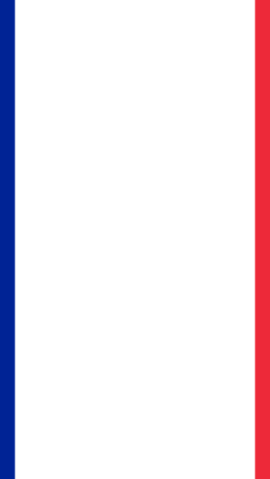 800px-Flag_of_France.svg.png