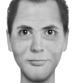 slide_209263_691986_large