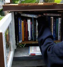 Little Free Library movement