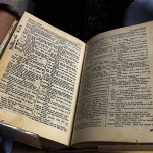 Shakespeare Robben Island Bible