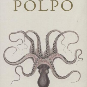 polpo-a-venetian-cookbook-of-sorts