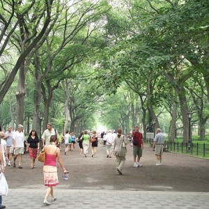 800px-The_Mall_&_Literary_Walk,_Central_Park,_Manhattan,_NYC
