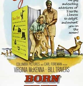 Born-Free-Poster