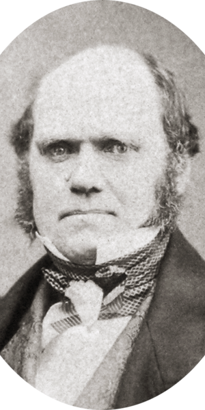 Charles_Darwin_by_Maull_and_Polyblank,_1855-crop