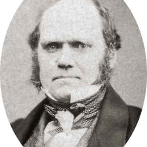 Charles_Darwin_by_Maull_and_Polyblank,_1855-crop