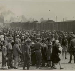 Birkenau_selection