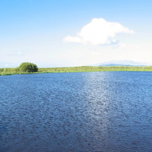 Sinclair_Wetlands