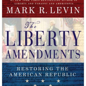 the-liberty-amendments