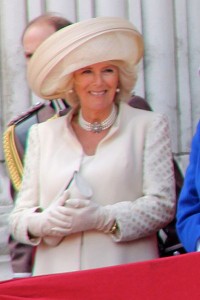 Dss_of_Cornwall_June_2013