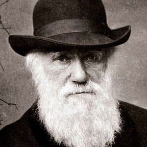 Charles Darwin in 1881