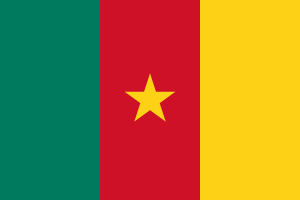 Flag_of_Cameroon.svg