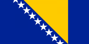 Flag_of_Bosnia_and_Herzegovina.svg