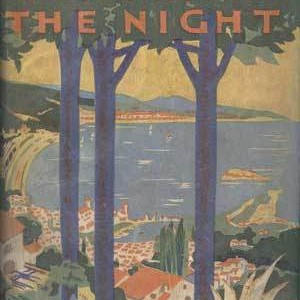 TenderIsTheNight_(Novel)_1st_edition_cover