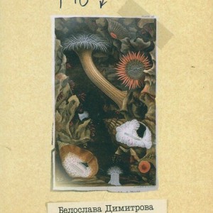 185129_b