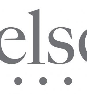 nielsen_logo1