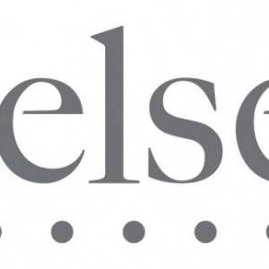 nielsen_logo1