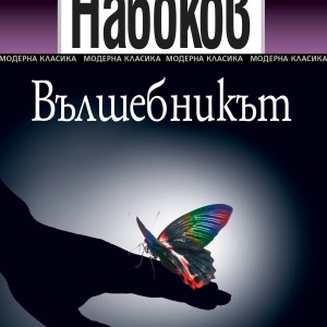 Cover-Vylshebnikyt