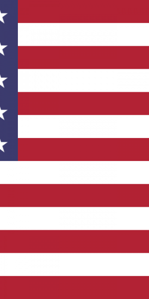 Flag_of_the_United_States.svg