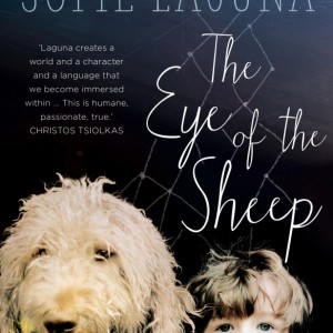 eye-of-the-sheep