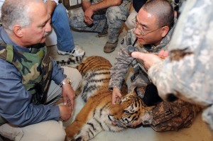 1280px-Army_veterinarians,_an_ill_tiger_cub_and_a_zoo_in_Iraq