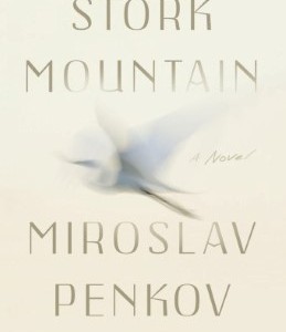 stork mountain - cover