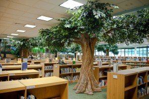 Brentwood Children's Library-110