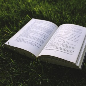 nature-grass-green-book-large
