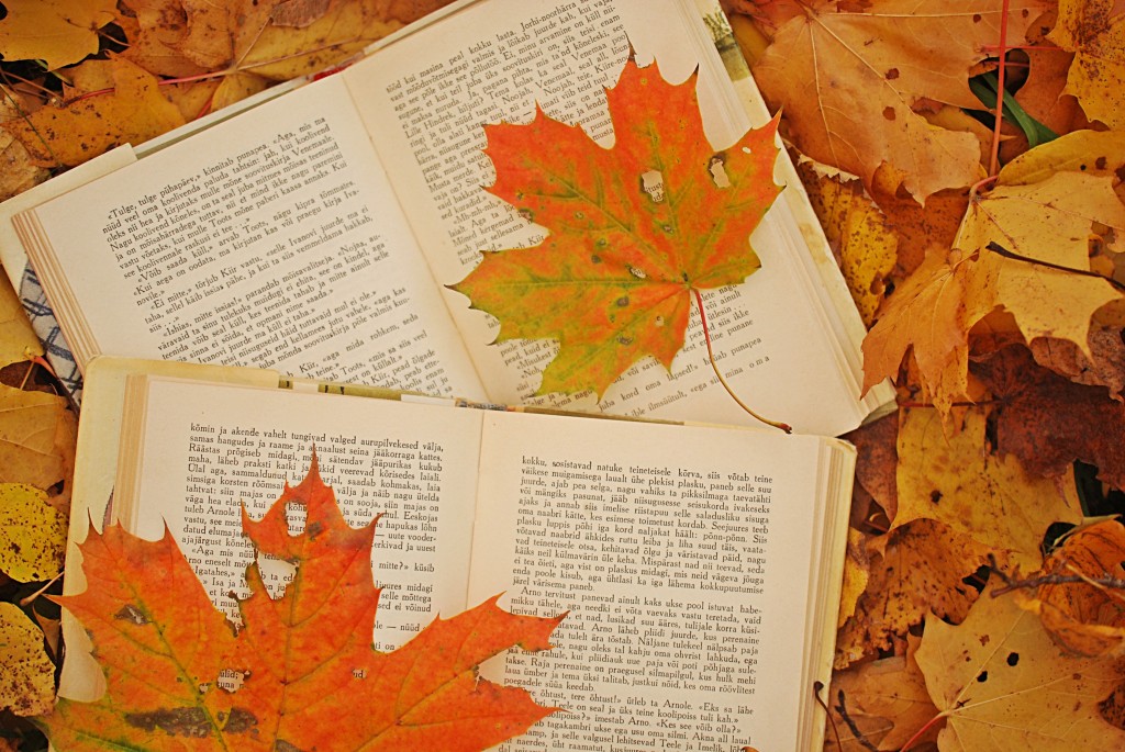 photo-autumn-leaves-maple-books-favim-com-486374