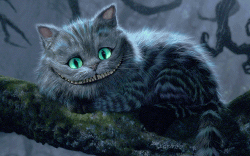 2c26fbe2f9urn-gif-500-312-cc-dri-qjye3zhe5p