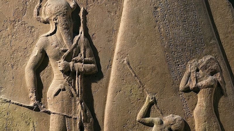 594790-gallery1-wh35d