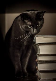 a9b8d0e823f36713e50022467fd5e9c5