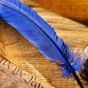Blue-Writing-Feather-825x510
