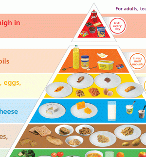 food_pyramid_transp_landscape_640