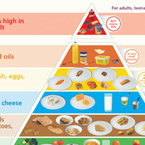 food_pyramid_transp_landscape_640