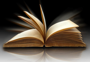 11-28-2013-8-33-48-PM