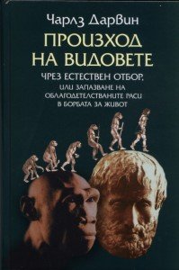 156731_b