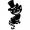 foto_cherno_belyj_jeskiz_tatu_kota_v_cilindre