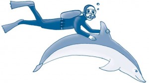 26961864_1946644032012625_4199560404144085530_o