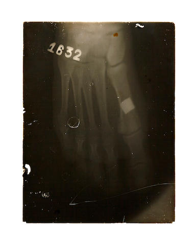 image-1_0