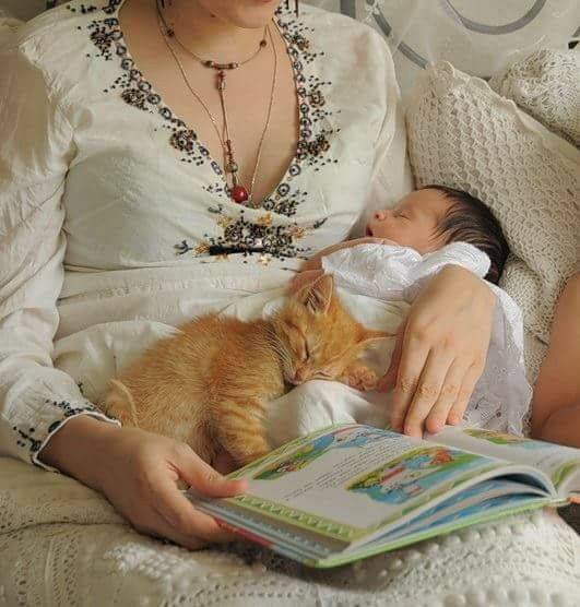 37626315_1784252274973113_8705106751382355968_n