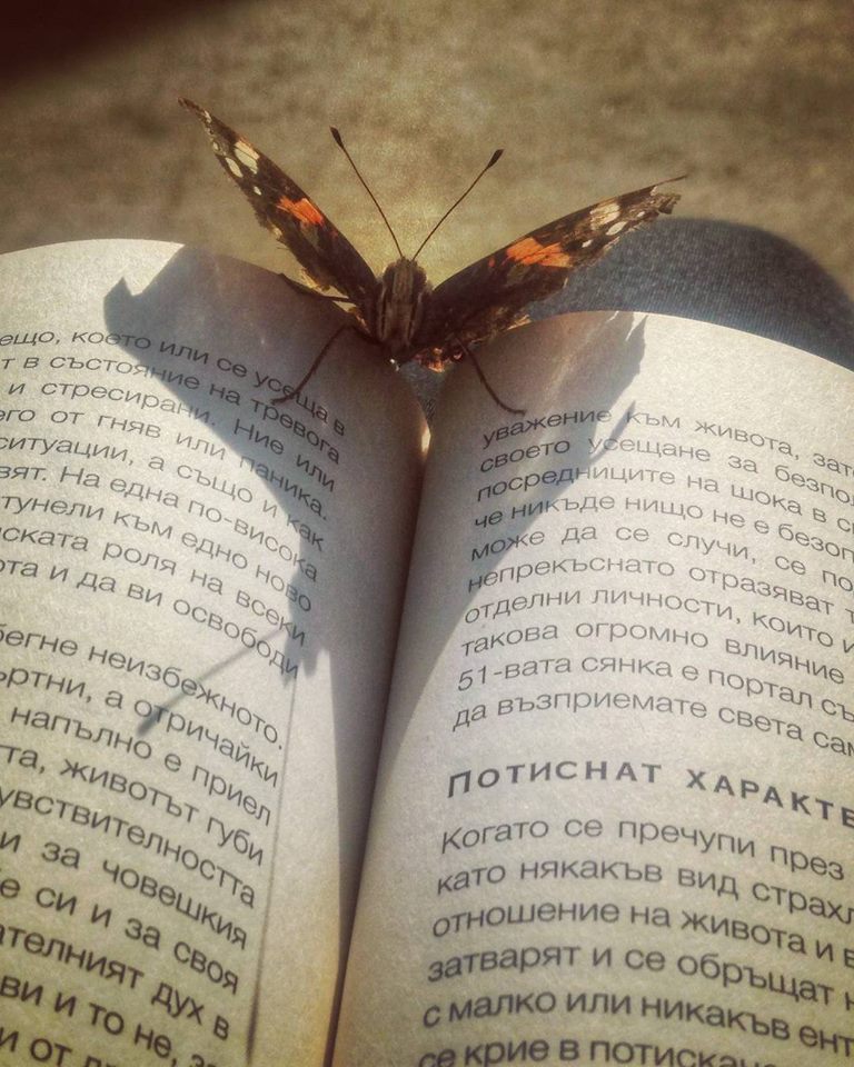 "Четем си заедно за ген ключовете 💛 Дори и пеперудата е любопитна  ;) Толкова дълбоко усещане за хармония!" (Марги)