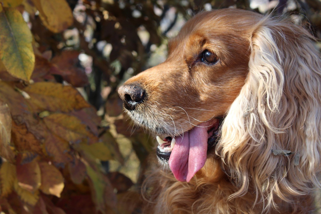 IMG-943e868d030971f7a39d4b56bfa84ec0-V