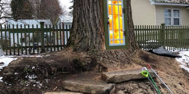 dead-tree-little-free-library-sharalee-armitage-howard-1-5c3471b674d82__700