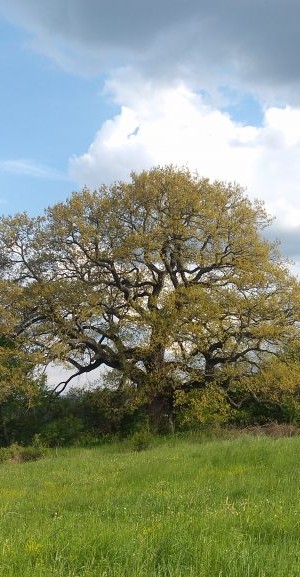 IMG_20180505_164535-1024x577