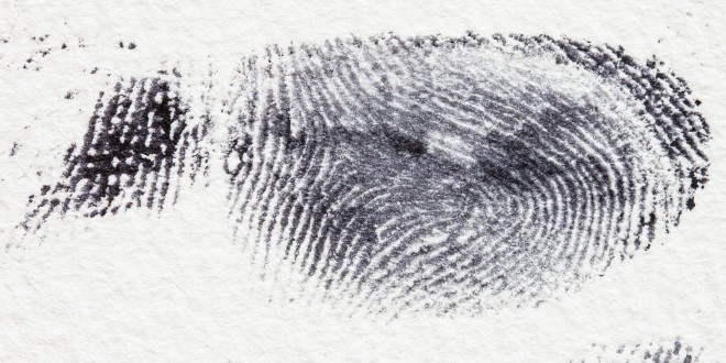 fingerprint-255897_1920