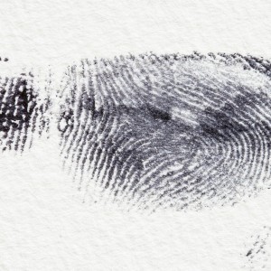 fingerprint-255897_1920
