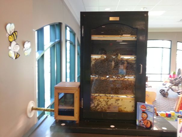 5bc05b51b2a23_g2NR5QTMaT9hLVvmYvJsmqRczNwFoFla1tFSKJIseZU__605