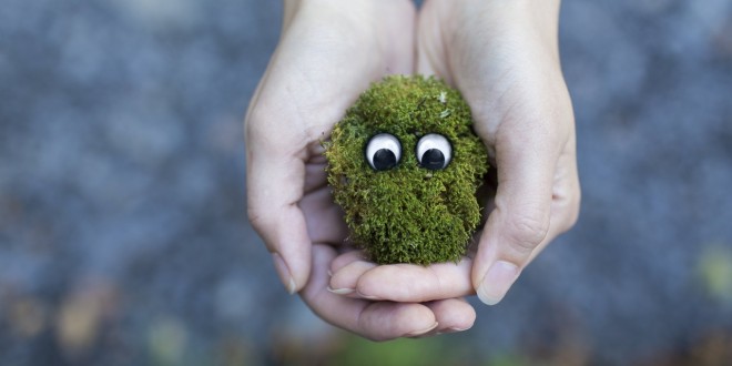 hand-nature-grass-plant-photography-flower-764337-pxhere.com