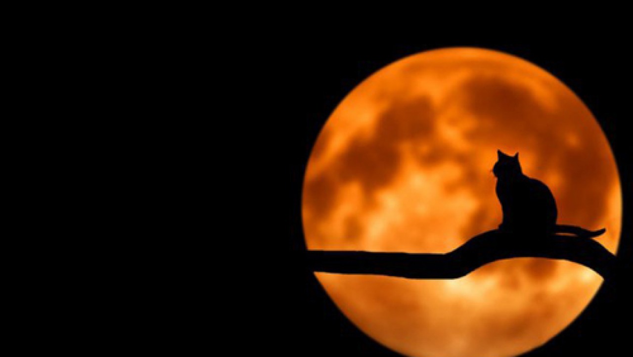 d536cd2ed725378f665379a4cef3dece