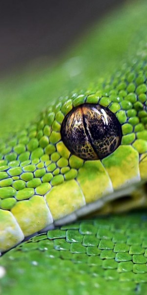 1440x810_cmsv2_4a78fc15-480b-56b6-99b5-beed5e423436-4647364